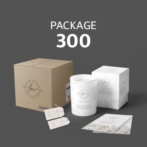 Package300 기획 종합 패키지 디자인 3종 (파우치, 라벨, 용기, 박스, 안내지 등)
